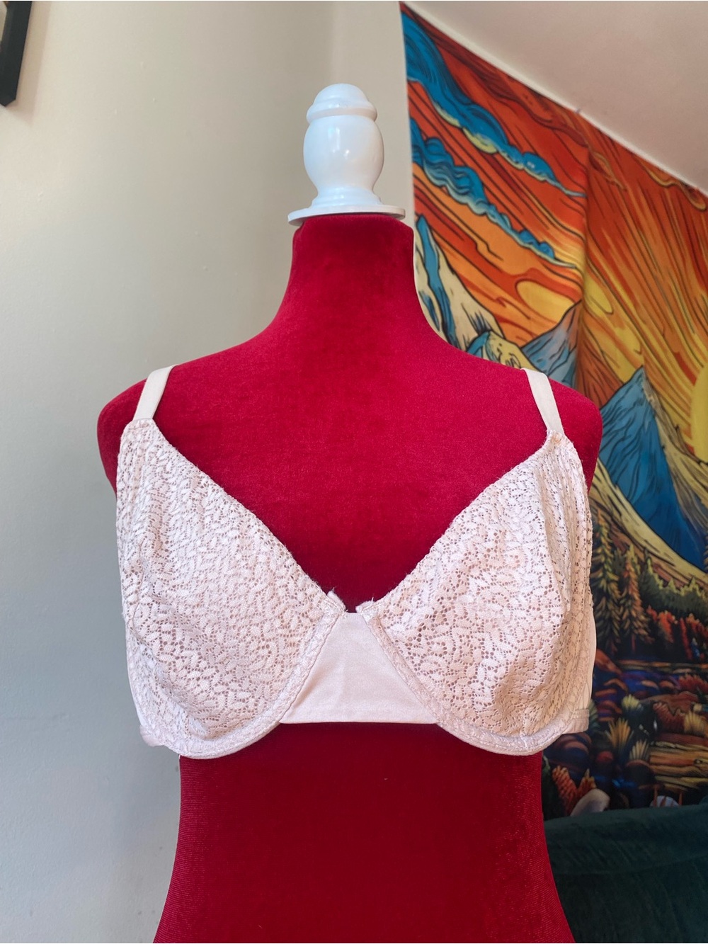 Anne Klein Light Pink Lace Underwire Bra
